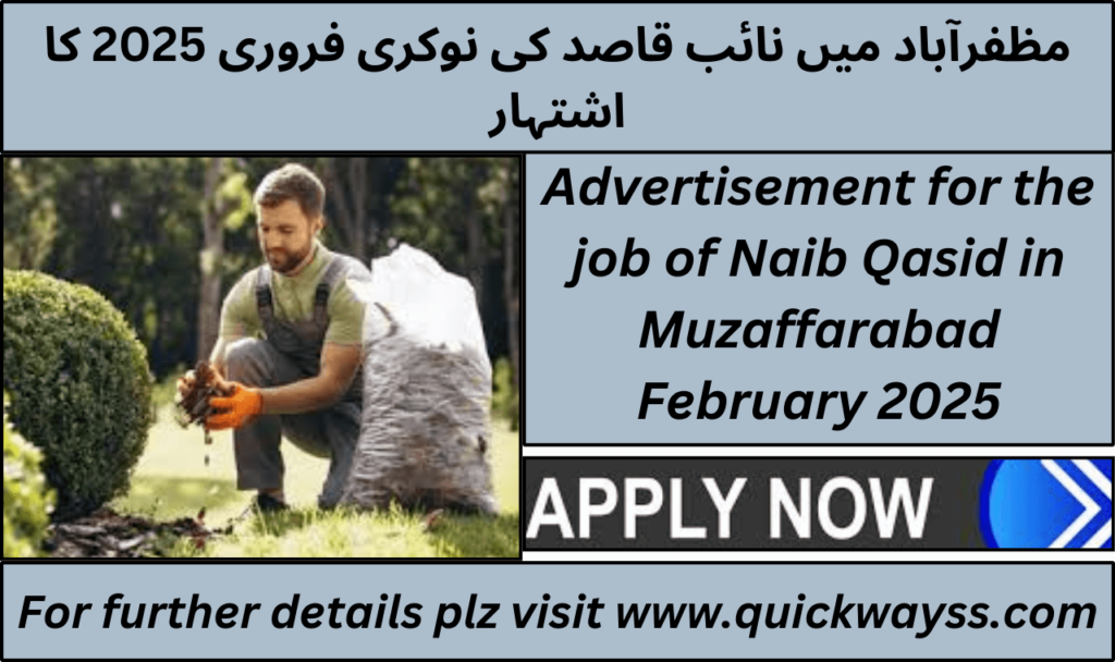 Naib Qasid job vacancies in Muzaffarabad February 2025 advertisement
