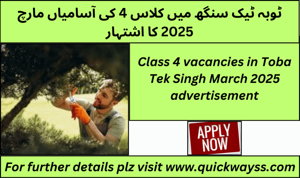 Class 4 job advertisement for vacancies in Toba Tek Singh, March 2025.