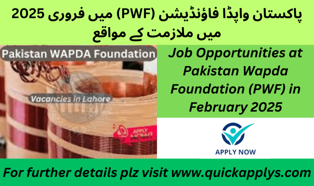 Job Opportunities at Pakistan Wapda Foundation (PWF) in February 2025