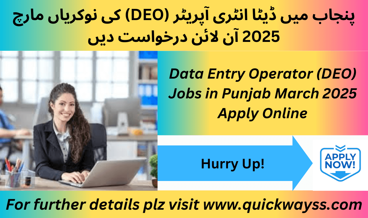 Data Entry Operator Jobs in Punjab March 2025 Hiring