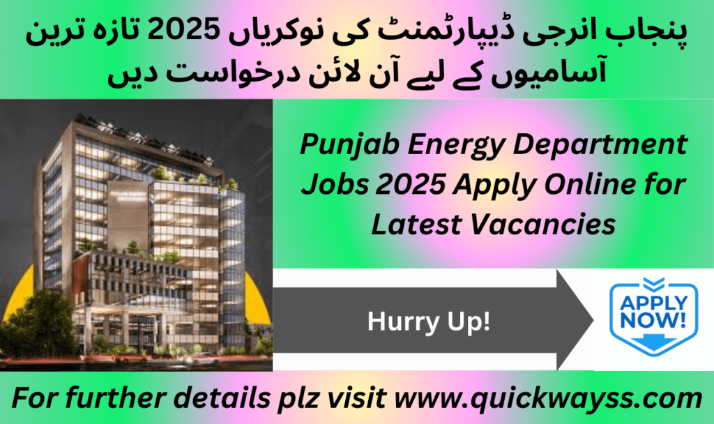 Punjab Energy Department Jobs 2025 Apply Online